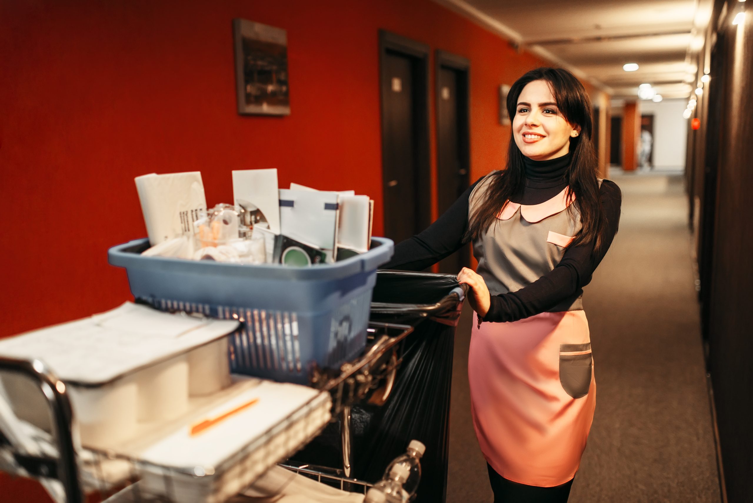 Hotel Cleaning Carts